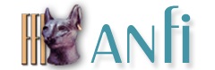logo ANFI